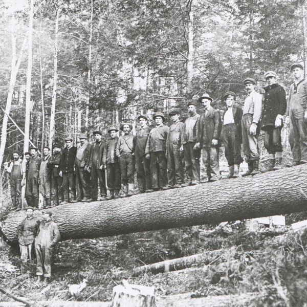 Logging and Papermaking Lantern Slides