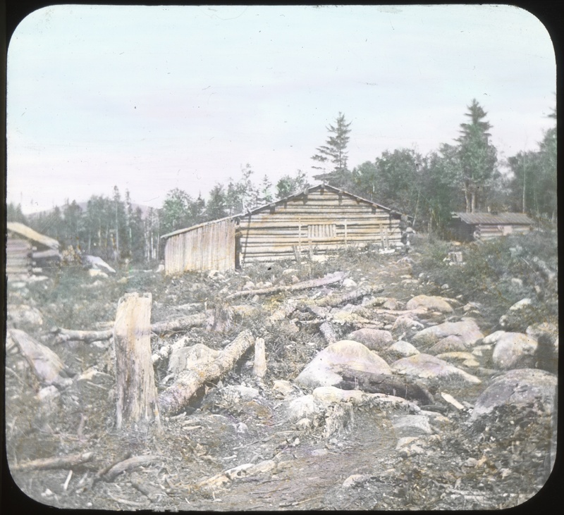 Lumber Camp