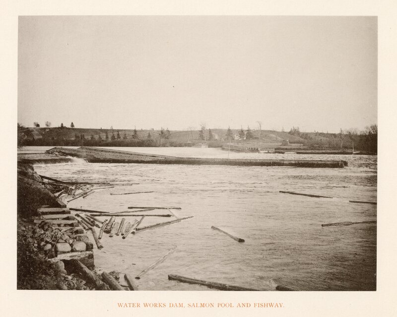 Water Works Dam, Salmon Pool and Fishway