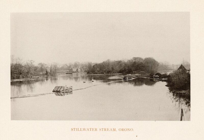 Stillwater Stream, Orono