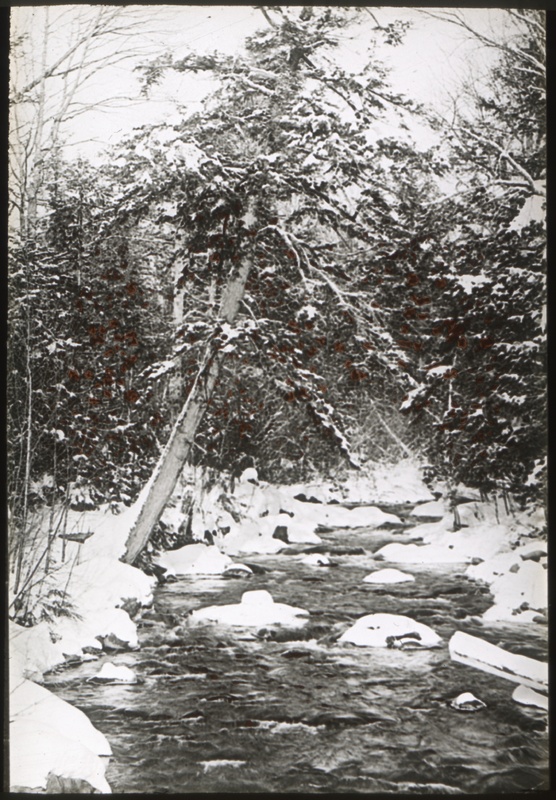 Winter Scenery