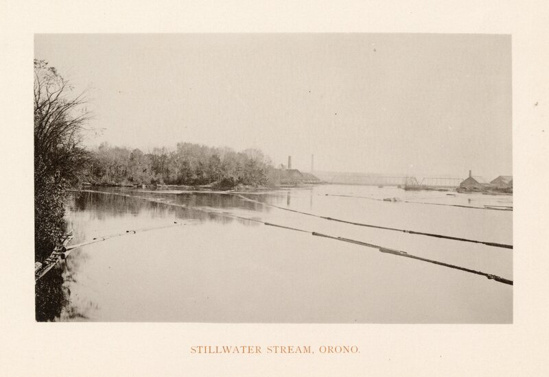 Stillwater Stream, Orono