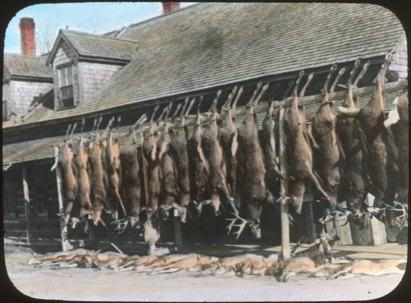 One of the Sporting Camps, Game