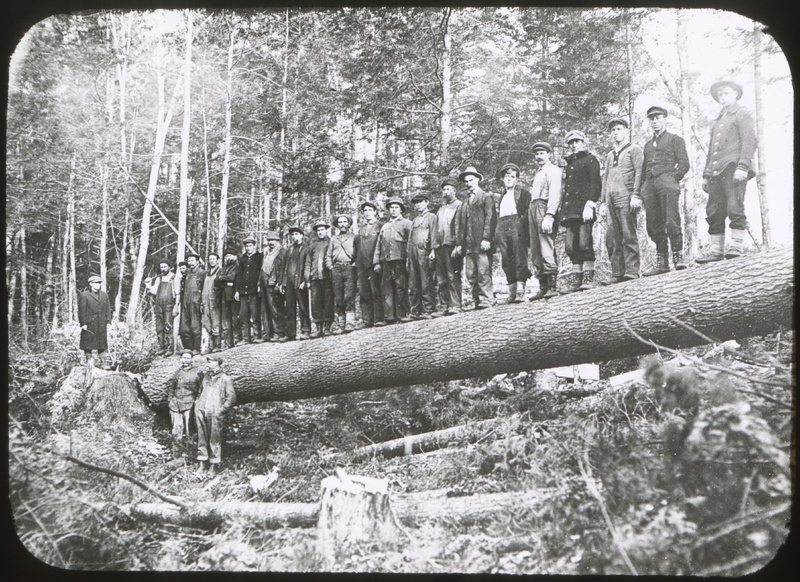 Big Timber