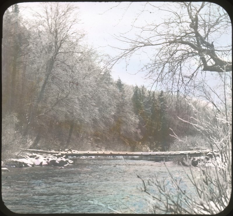 Winter Scenery
