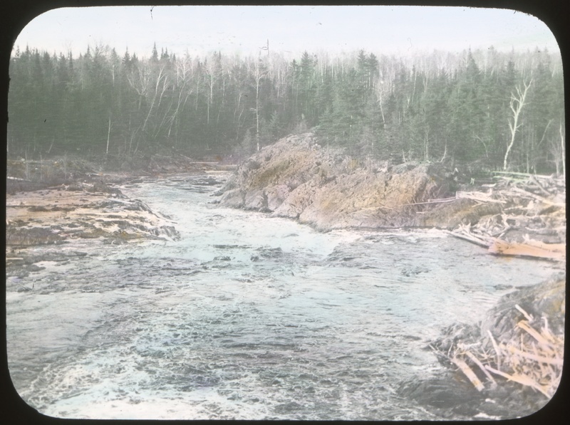A Wild Stream