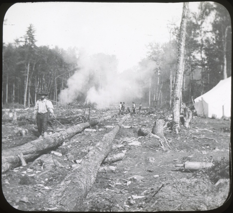 Lumber Industry, Road Building