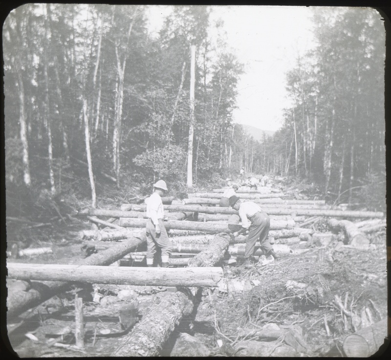 Road Building in the Woods