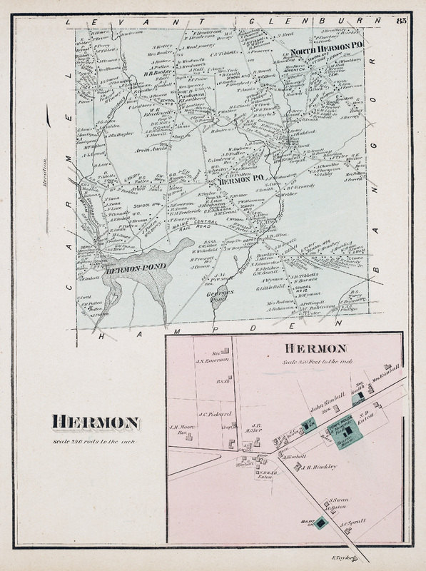 Hermon