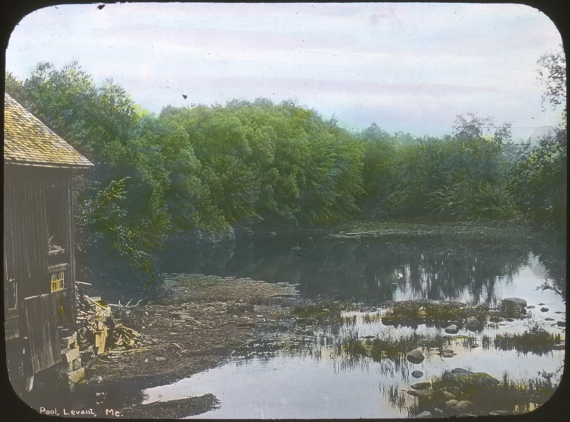 Mill Pool, Levant