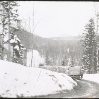 whipple-maine-108.jpg
