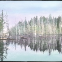 whipple-maine-049.jpg