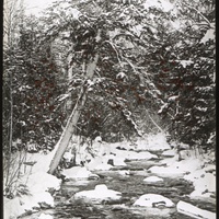 whipple-maine-119.jpg