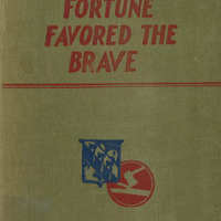 WWII_History-334th-Infantry-84th-Division.pdf