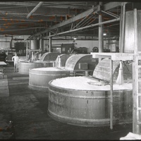 whipple-maine-094.jpg