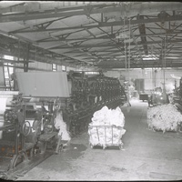 whipple-maine-096.jpg
