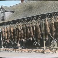 whipple-maine-063.jpg