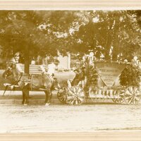 Bangor-Carnival-Trades-Procession_07-Miller-Webster.jpg