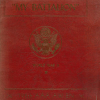 WWII_My-Battalion-795th-AAA.pdf