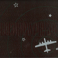 WWII_Hellbird-War-Book.pdf
