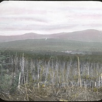 whipple-maine-104.jpg