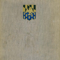 WWII_History-313th-Infantry.pdf