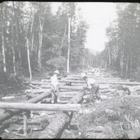 whipple-maine-089.jpg