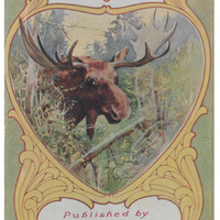 In-The-Maine-Woods_1902.pdf