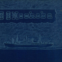 WWII_History-of-USS-Neshoba.pdf