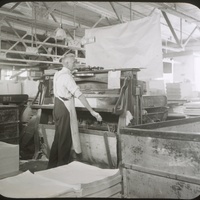 whipple-maine-099.jpg